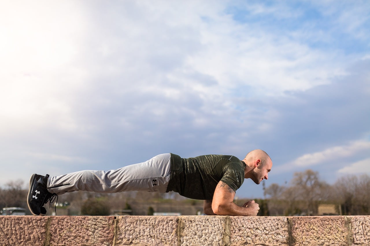 dynamic plank